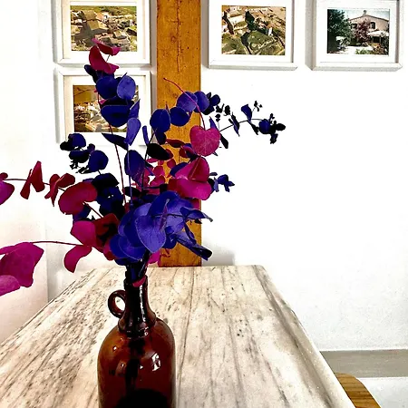 Apartman Torre Costa Brava Private Pool *
