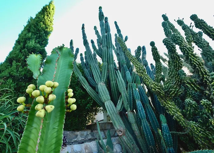 Torre Costa Brava Private Pool Daire Garrigás